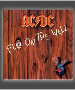 Get Down Art "Fly On The Wall" Stretched Canvas Print (Various Sizes)