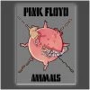 Get Down Art Pink Floyd Collection "Piggy" Stretched Canvas Print (Various Sizes)