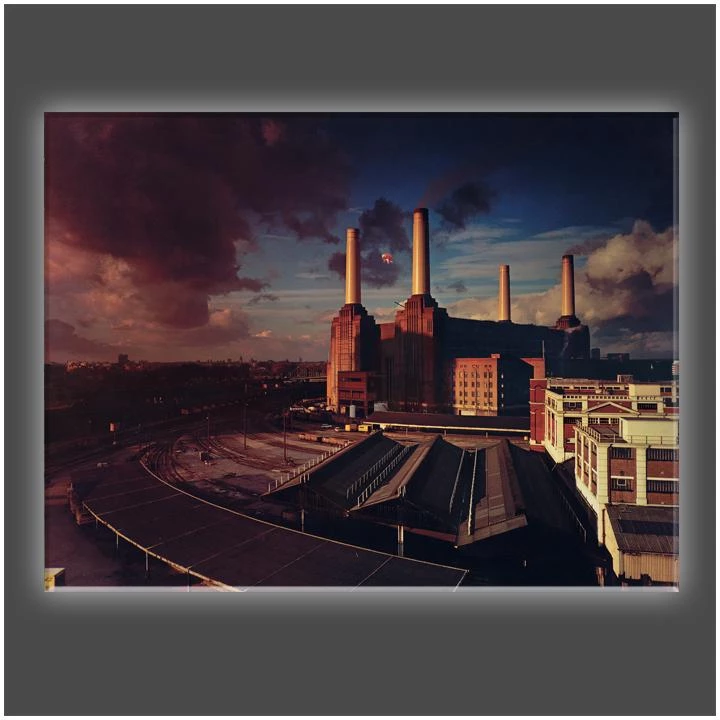 Get Down Art "Animals Fly Dark" Stretched Canvas Print (Various Sizes) 3 Get Down Art "Animals Fly Dark" Stretched Canvas Print (Various Sizes)