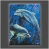 Stephen Fishwick "A Life Aquatic" Stretched Canvas Print (Various Sizes) Stephen Fishwick - For Life