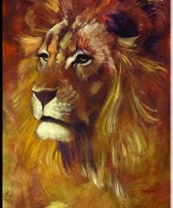 Stephen Fishwick "Lion" Stretched Canvas Print (Various Sizes) Stephen Fishwick - For Life